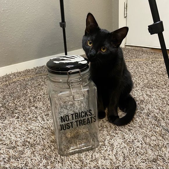 “No Tricks, Just Treats” Halloween Skeleton Hand Candy Jar 🍭 🍬 - Picture 1 of 3